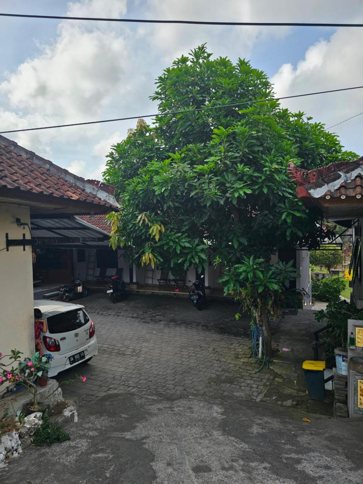 Padang-Padang Sari Homestay Uluwatu Rum bild